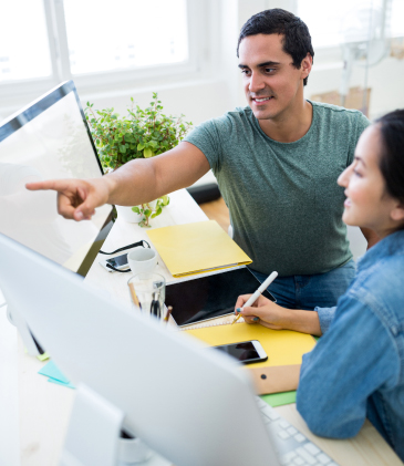 Ingeniería de Sistemas con énfasis en Administración Telemática