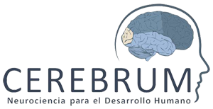 cerebrum diplomados