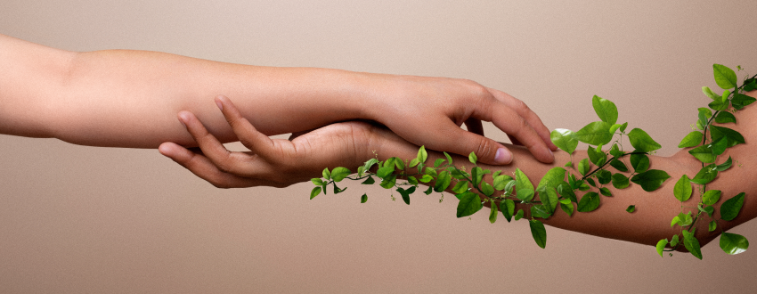 El Observatorio Laudato si´(OLS) presenta el IV Informe del Índice de Ecología Integral Humanista (IEIH): ¿Ecología Integral en Declive?